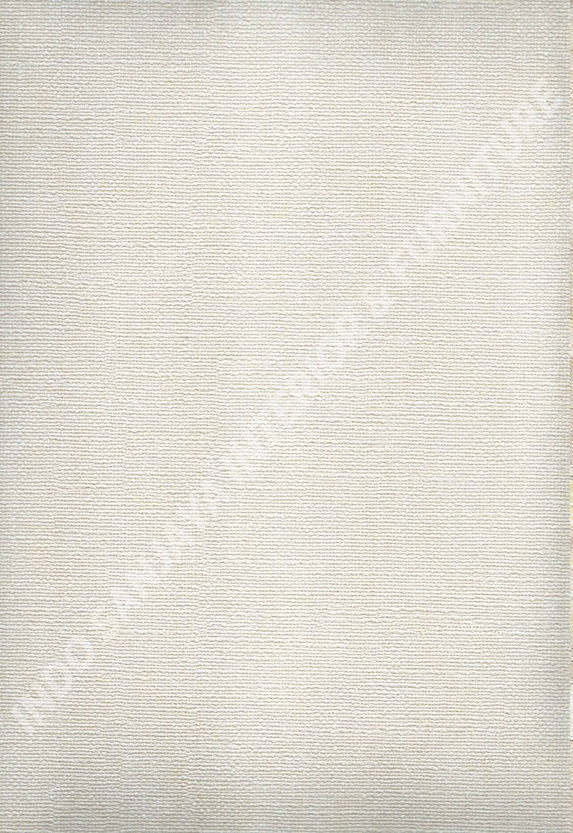 wallpaper   Wallpaper Minimalis Polos DL13203:DL13203 corak  warna 